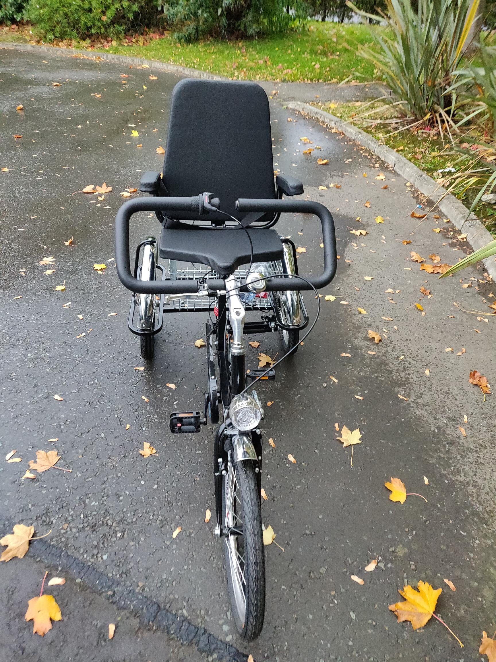 EASYRIDER TRICYCLE - Image 5