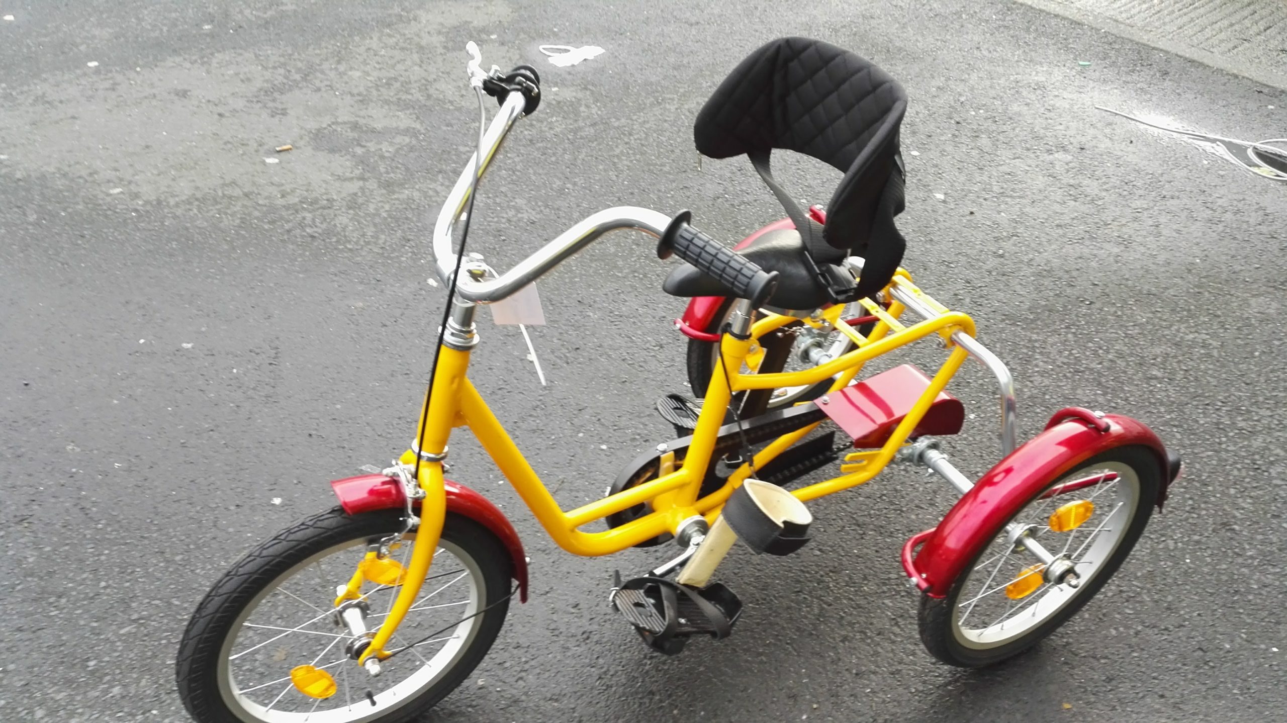 The REHA Adapted Childrens Tricycle