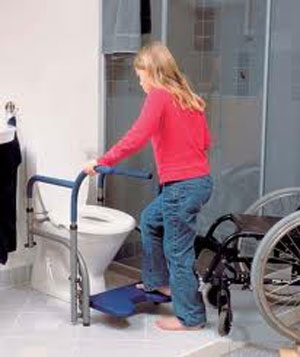 Svan Toilet Balance Frame